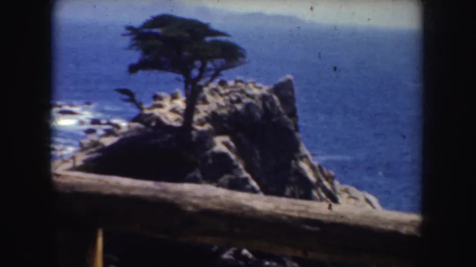 1952 California 8mm frame with the cypress and rocky headland seen behind a rough wooden overlook railing.
