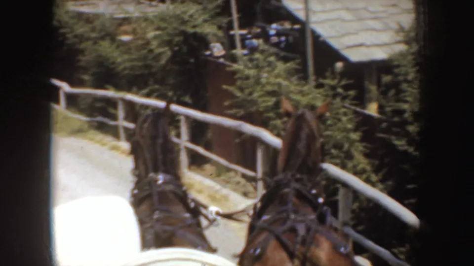 Carriage POV in rural California, 1952, with harnessed horses ahead beside a white wooden rail and roadside greenery.