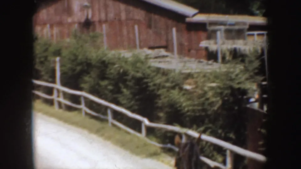 1952 California home-movie frame of a rural road curving past white fencing, shrubs, and a red-brown barn.