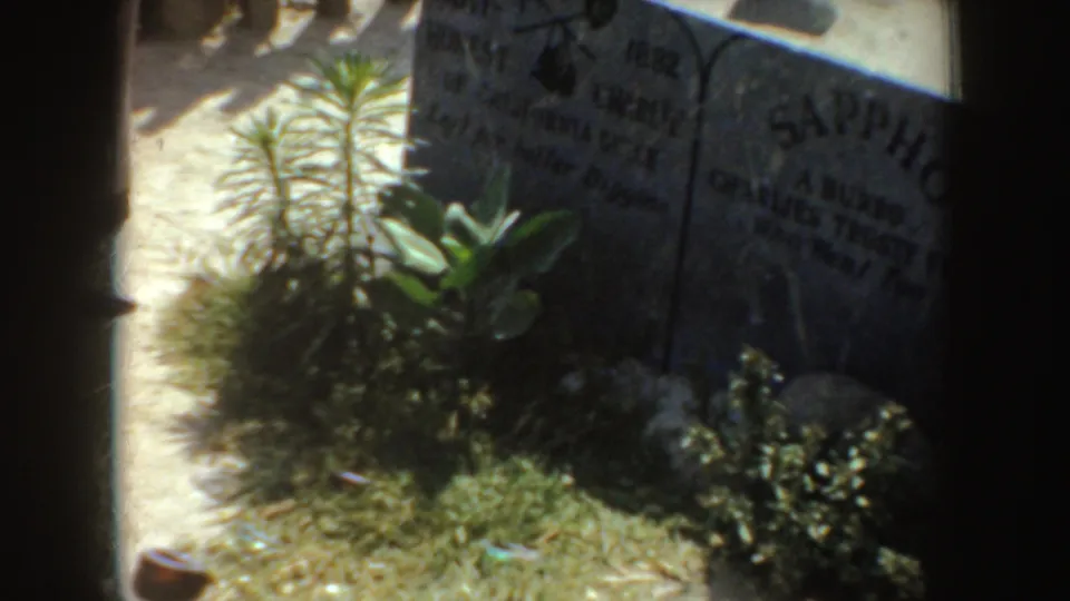 A sunlit grave marker with surrounding plants appears beside heavy shadow bands in the cemetery scene.