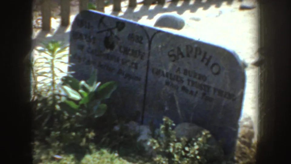 Two weathered markers, one partly reading Charles and one Sappho, stand among plants in California 8mm footage.