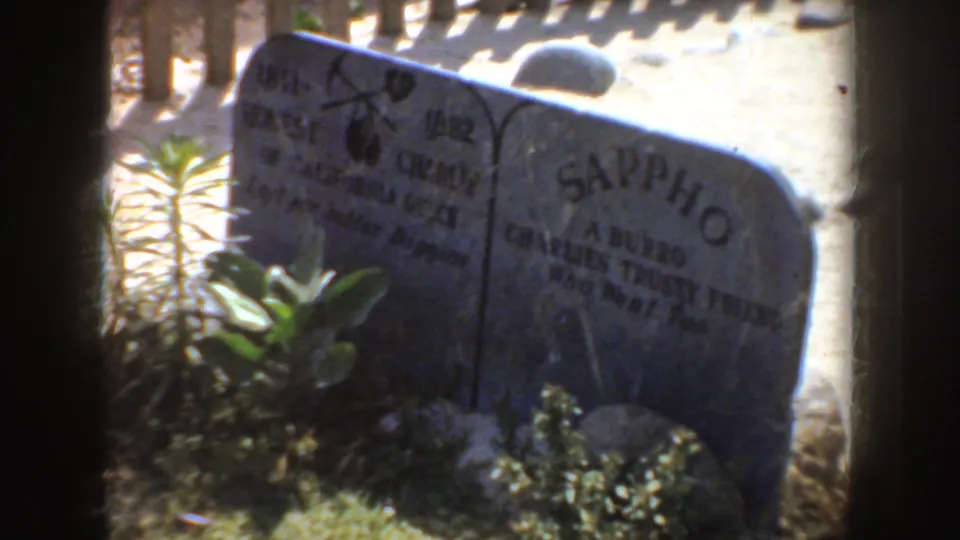 Close 1952 California home-movie view of a marker reading Sappho, A Burro, with plants around the grave.