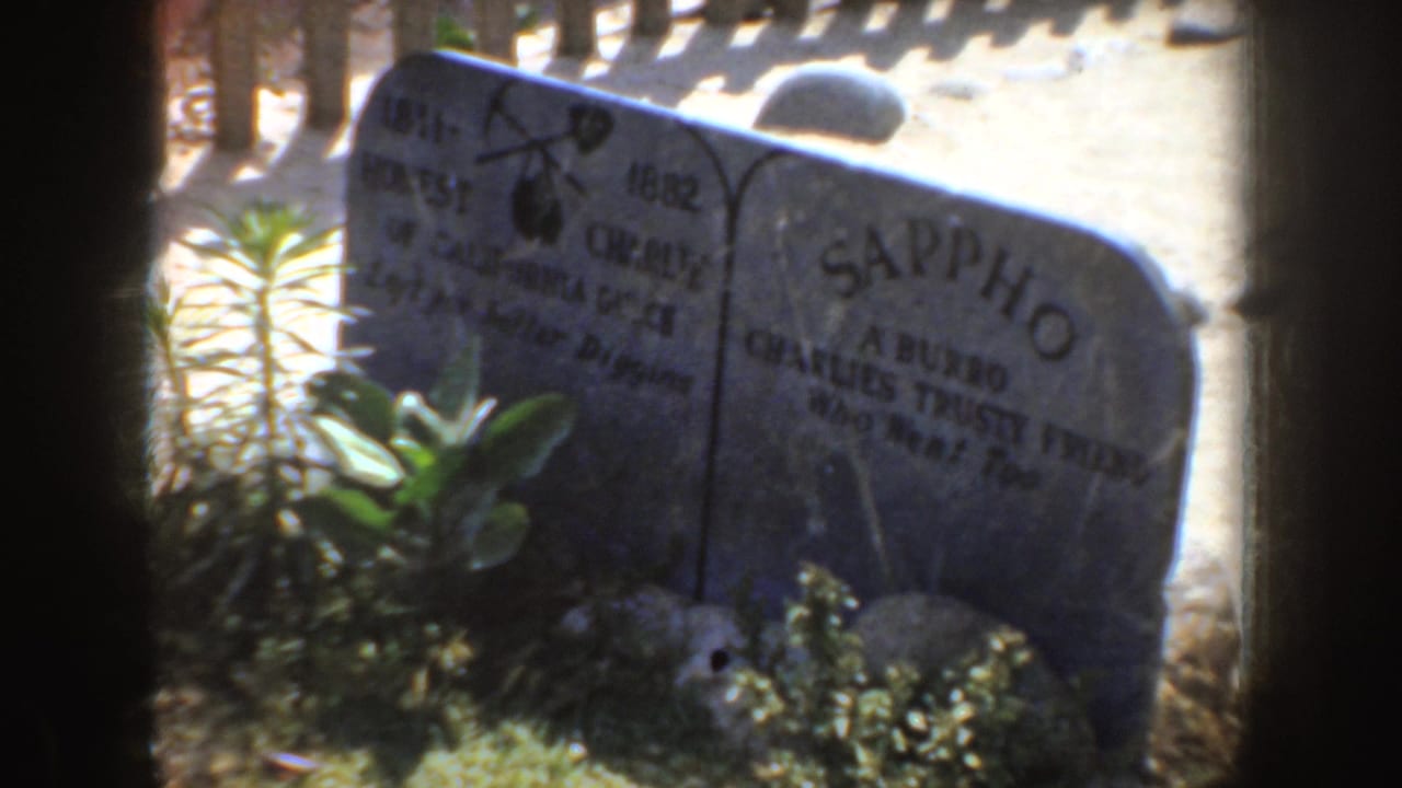 Two grey tombstones seen through a wooden fence in bright sunlight.