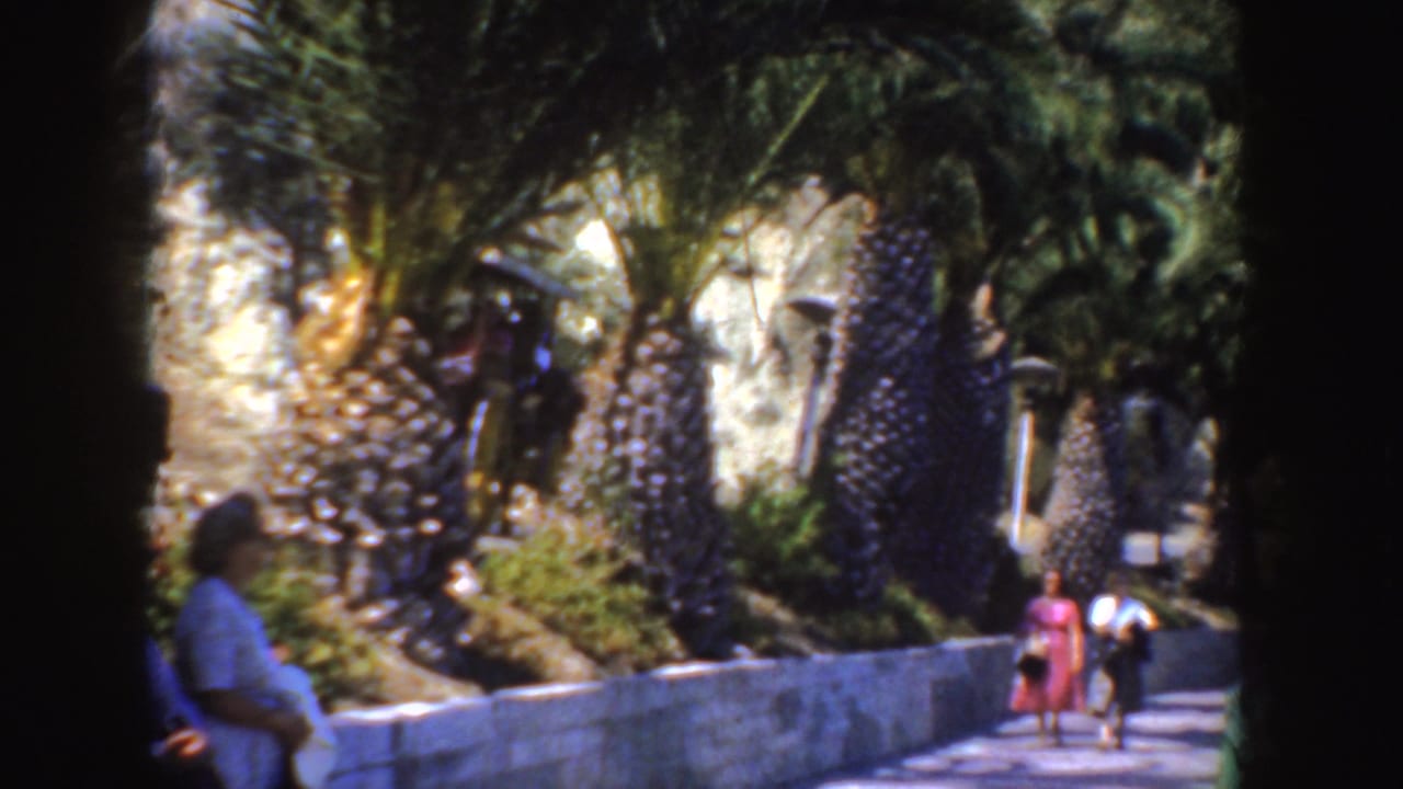 Women walking on a palm-lined path beside a low stone wall.