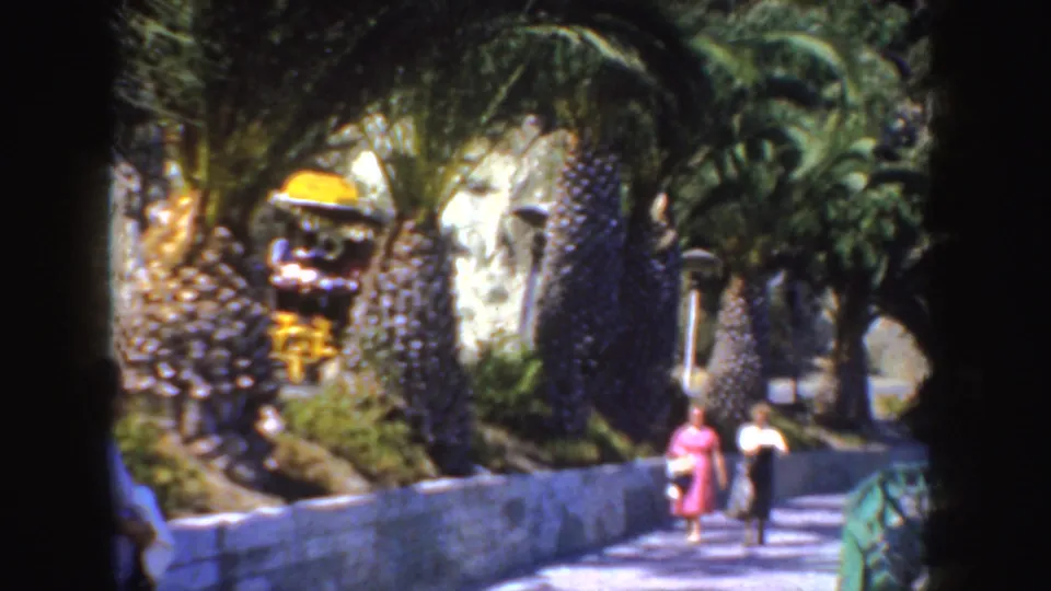 1952 California frame of two women walking on a bright promenade lined with palms and dense greenery.