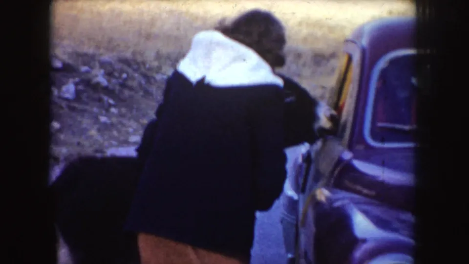 Person in a black coat with a white hood stands beside a dark donkey near the open area of an older car.