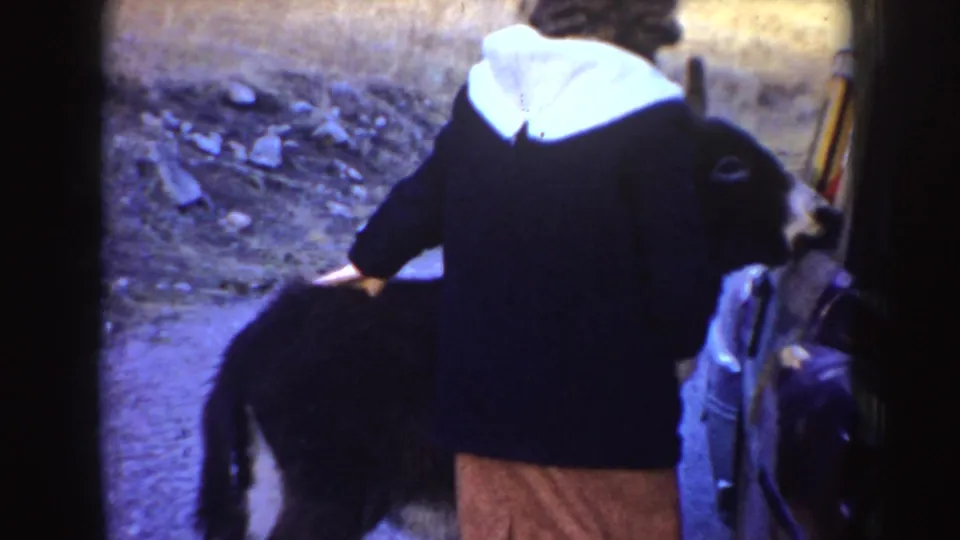 A person in a black coat and white hood interacts with a dark donkey near a parked older car in rural Idaho.