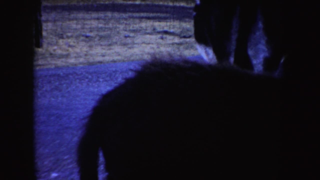Dark 8mm frame with a donkey near a car on a rural roadside.
