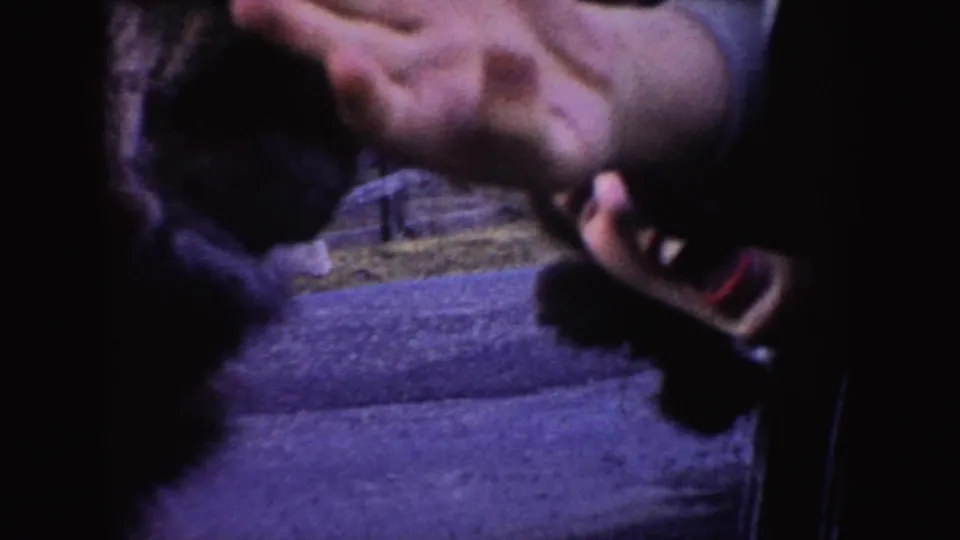 A woman leans from a car in 1955 Idaho home-movie footage, reaching toward a donkey just outside the frame edge.