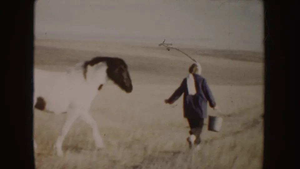 A white horse with dark markings moves across dry Idaho countryside near a woman carrying a metal bucket in 1955 home-movie footage.