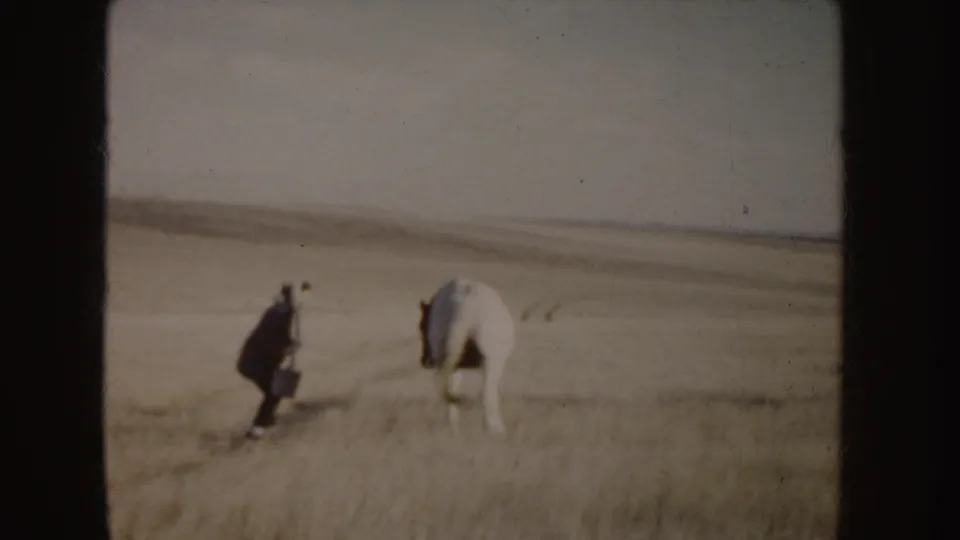 The woman bends near the white horse in the Idaho countryside, suggesting a quiet moment of animal care in 1955 home-movie footage.