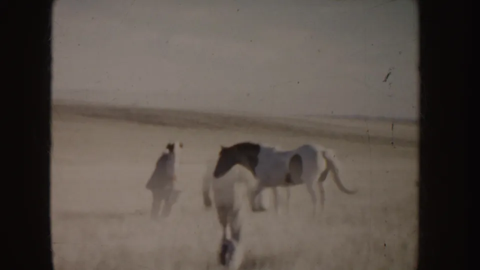 In a 1955 Idaho home-movie frame, two horses move across dry prairie grass under a hazy sky.