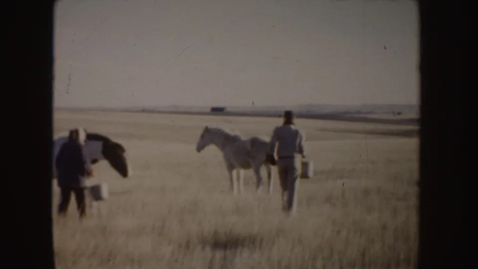 Two adults carrying buckets walk toward horses in a broad Idaho prairie field in this 1955 8mm home-movie frame.
