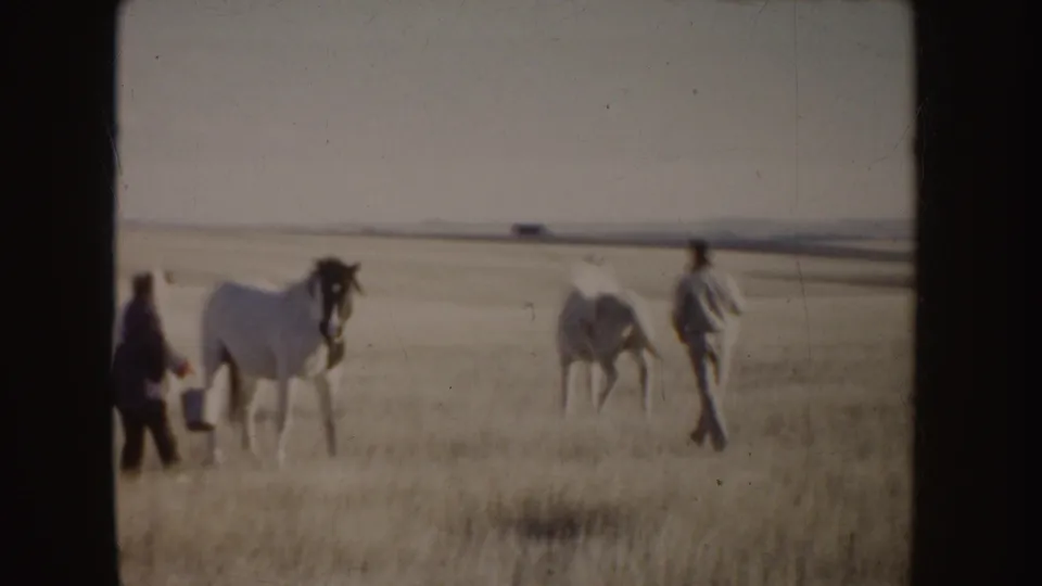 A woman and man stand near two horses in a dry Idaho field, with the black-and-white horse facing the camera.
