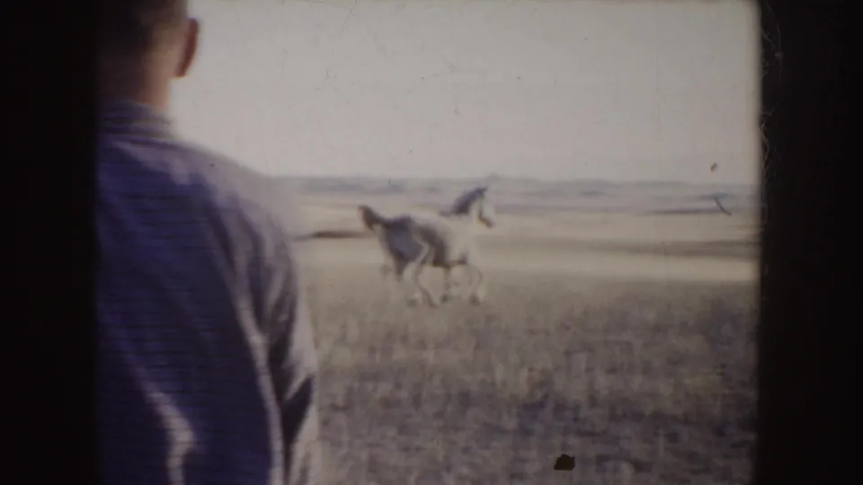 A man in the foreground watches two horses move across the open Idaho prairie in a soft 1955 home-movie frame.
