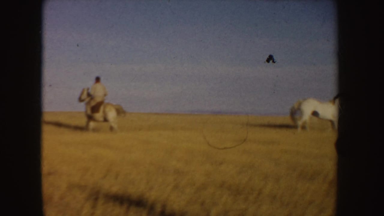 A rider on a light horse moves across a tan field with another horse at the edge.
