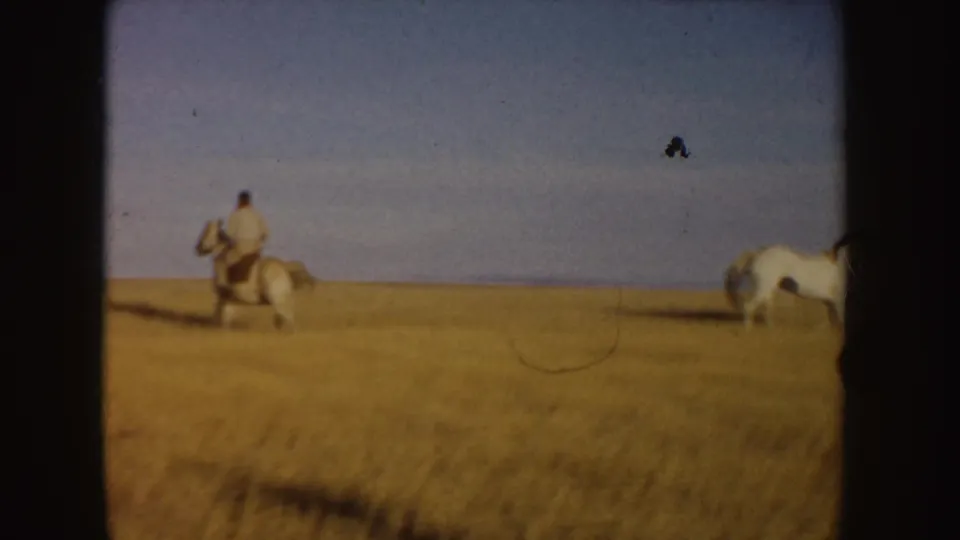 A rider on a light-colored horse travels through a broad tan Idaho field, with another horse partly visible near the frame edge.