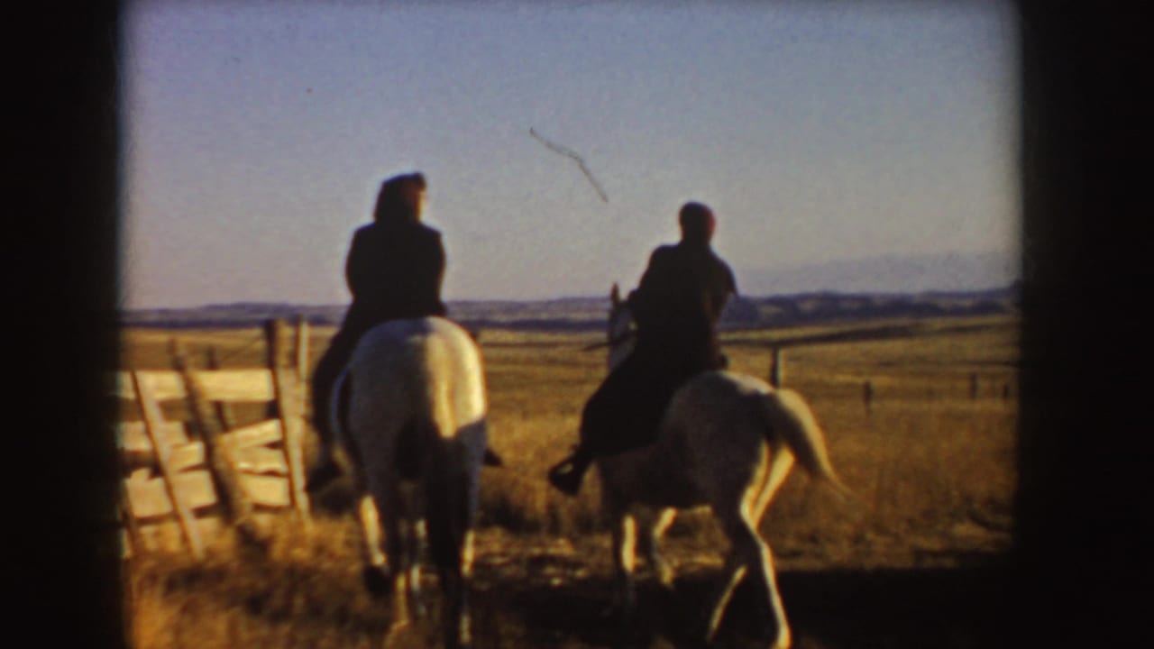 Two riders on light horses move away through a gate toward open grassland.