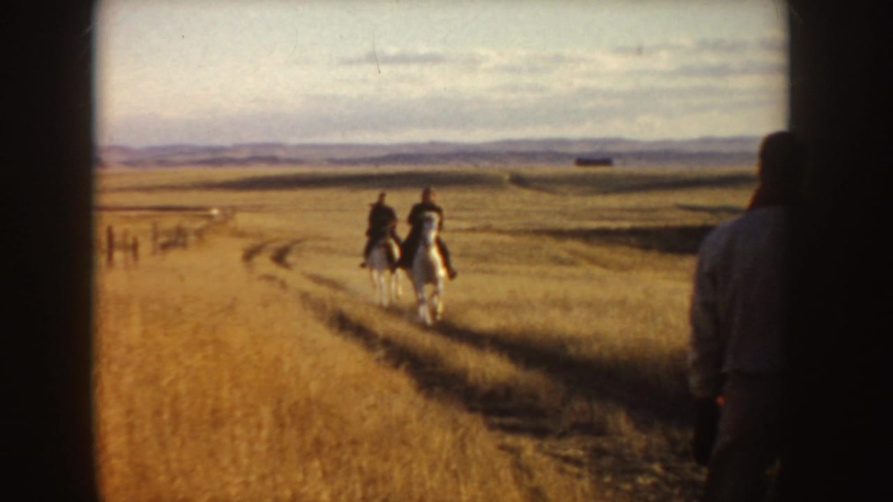 Two riders on white horses approach along a dirt path through a wide meadow.