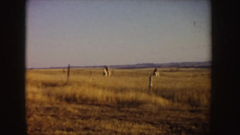 Distant horseback riders move across an open Idaho field, framed by fence posts and low hills on the horizon.
