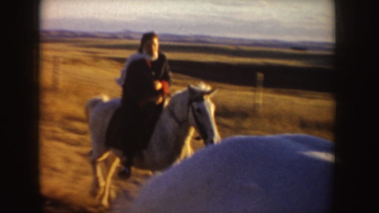Woman riding a white horse across an open field in warm light.