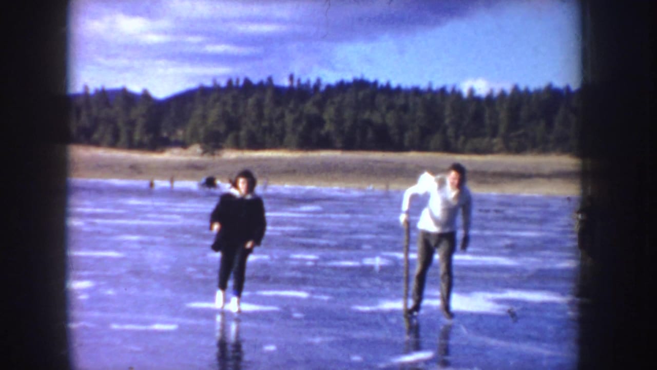 Two skaters are prominent on the ice, one using a walking stick, with trees across the shore.