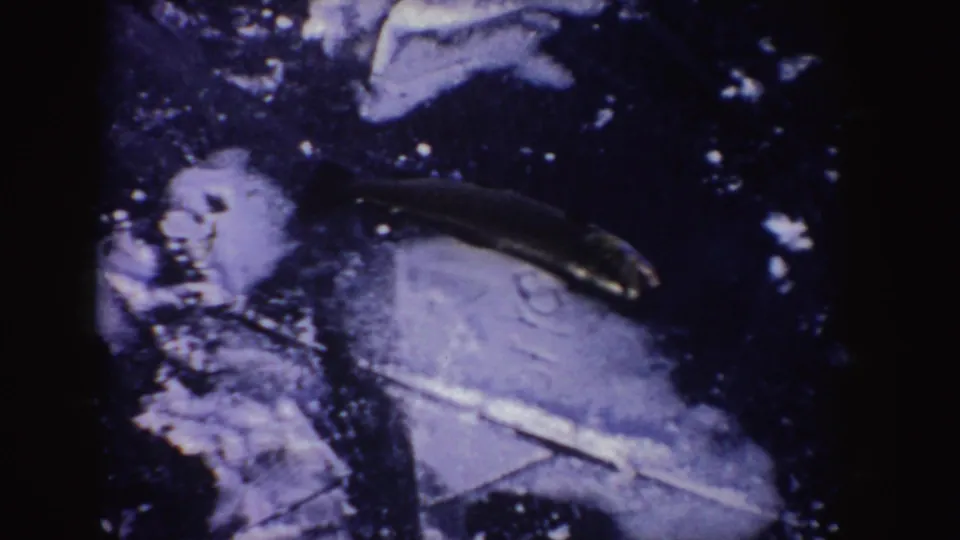Close 8mm frame of a fish on the ice, possibly from the same Idaho frozen lake outing, with dark ice and white flecks around it.