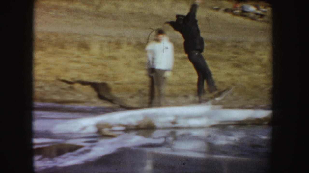 A skater appears to fall on a frozen pond as a person in a white jacket stands nearby on the Idaho park bank.