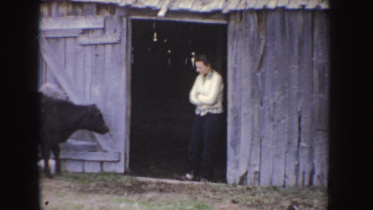 A person in a light sweater stands in the barn doorway while a calf passes through the Idaho farmyard.