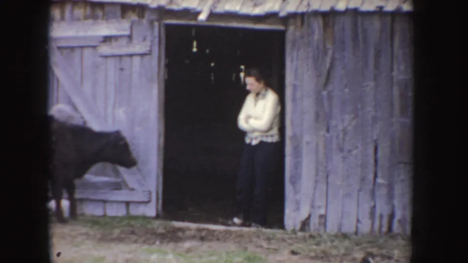 A person in a light sweater stands in the barn doorway while a calf passes through the Idaho farmyard.