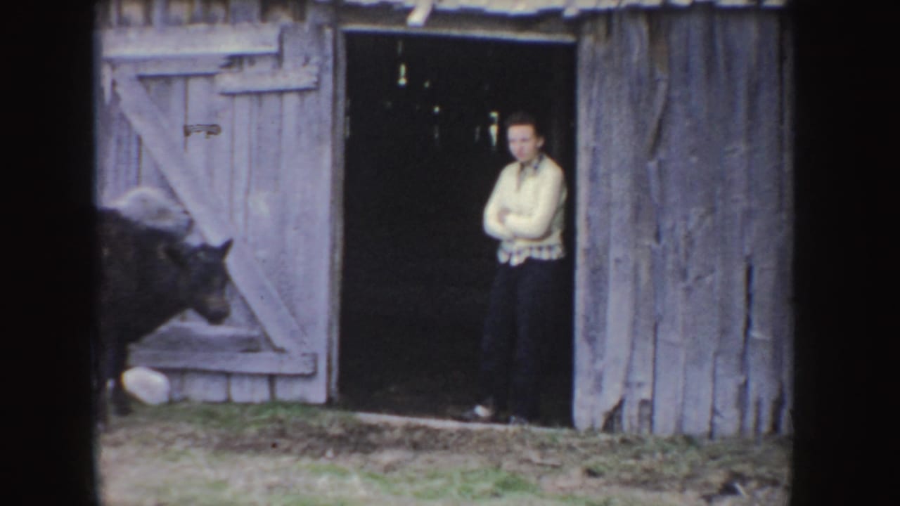 A person stands in the shadowed barn doorway as a calf remains partly visible along the weathered wall.