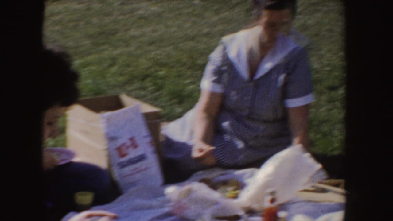 Picnic spread on grass with seated adults, a U-I Sugar bag, cups, and food containers.