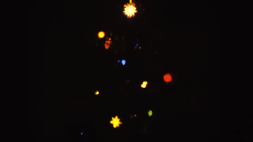 1955 Idaho home-movie frame with scattered colored bulbs and yellow star-like lights in soft focus.