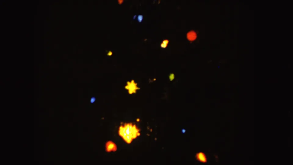 Soft 8mm night frame from Idaho in 1955 showing bright yellow decorative lights and smaller colored bulbs.