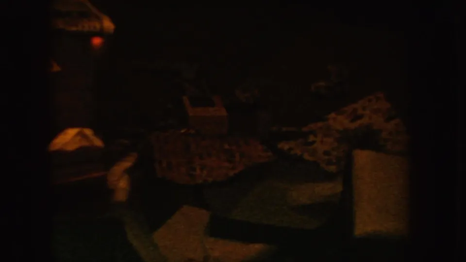 Late frame of the 1955 Idaho Christmas scene with colored lights and indistinct household objects in low light.