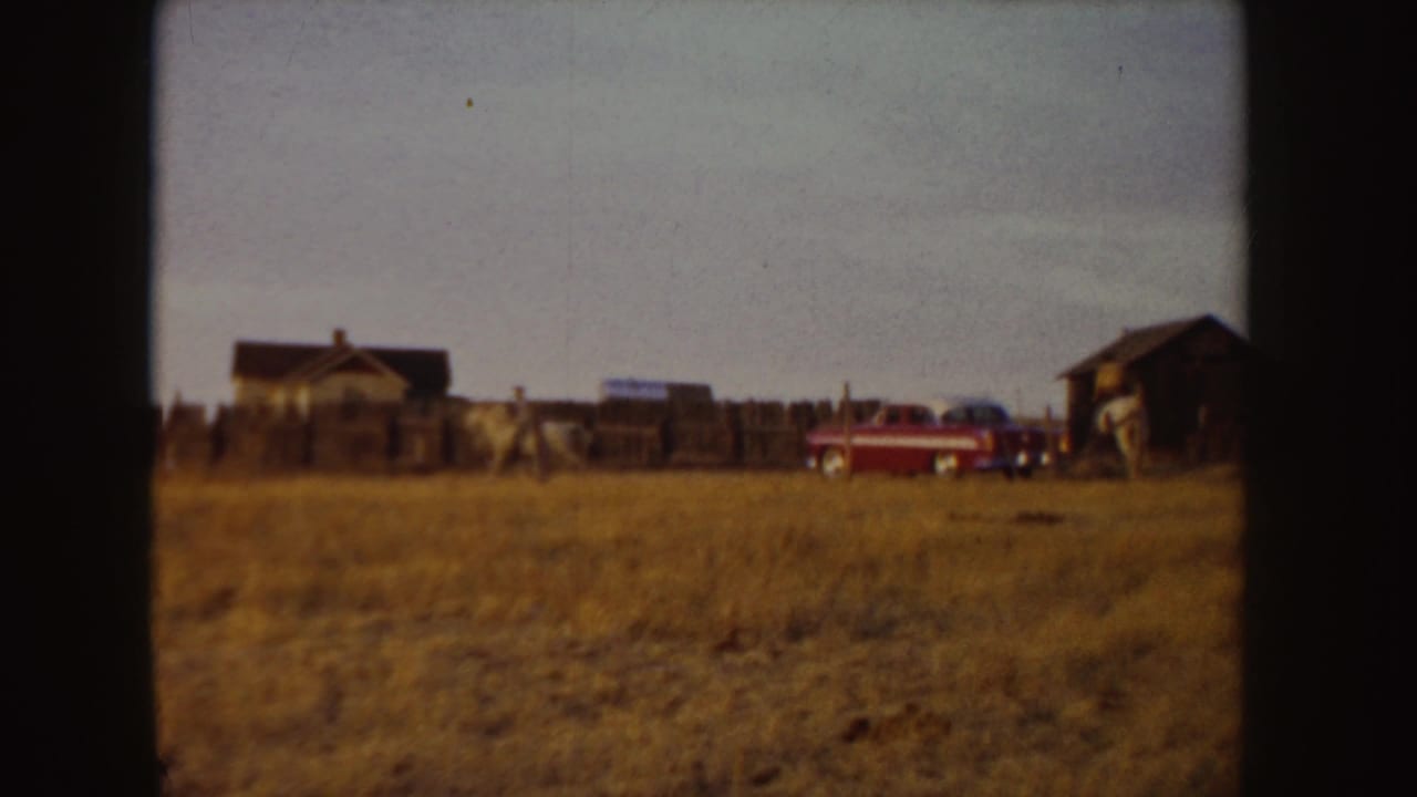 White horse and rider crossing a tan field near a fence, buildings, and a red car.