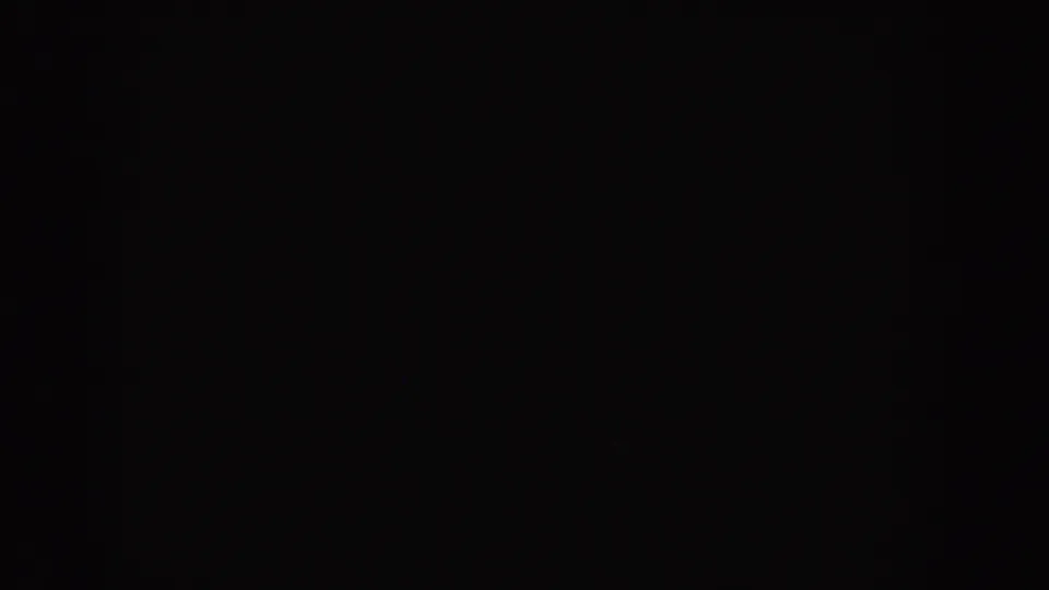 Dark end frame with no identifiable scene content, consistent with blank or damaged home-movie footage.