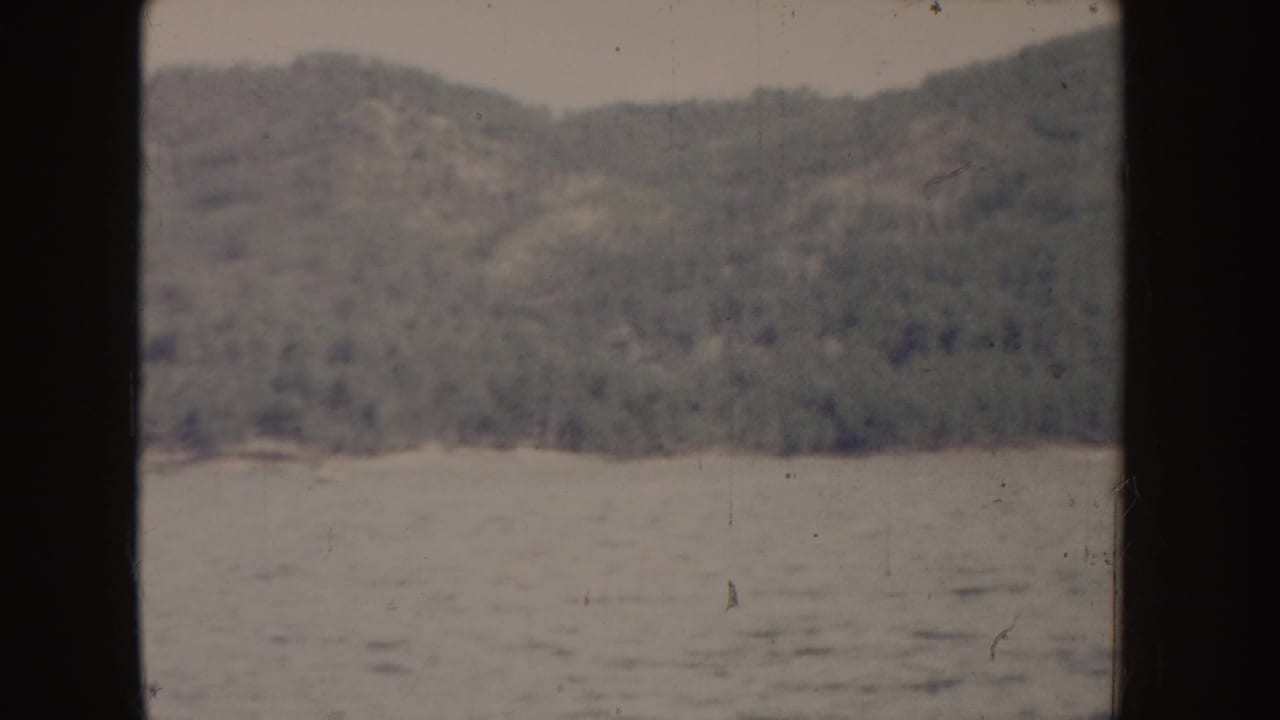 Wooded shoreline and hill above calm water, divided by a dark film edge.