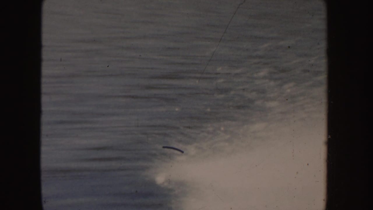 1955 Idaho 8mm frame showing soft ripples on a lake with evergreen shoreline in the distance and visible film gate edges.