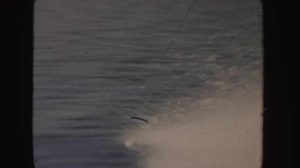 1955 Idaho 8mm frame showing soft ripples on a lake with evergreen shoreline in the distance and visible film gate edges.