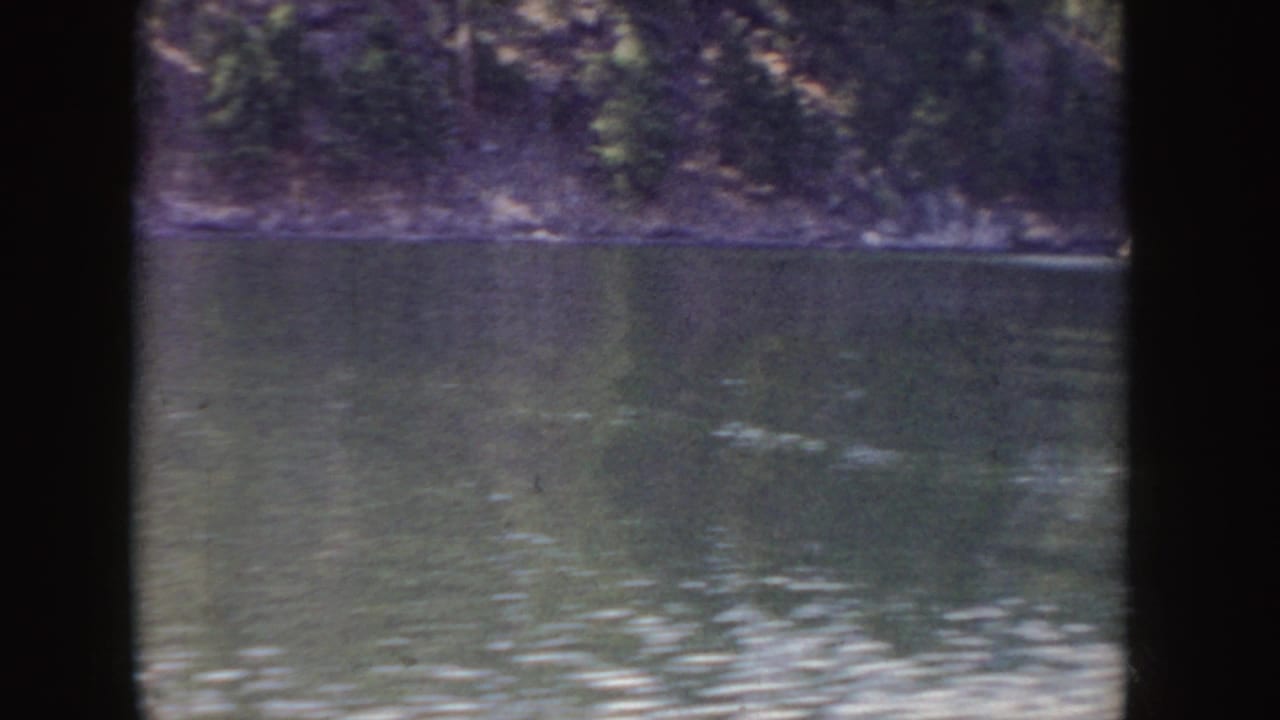 Rippling river with a wooded bank across the water.