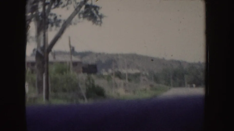 1955 Idaho 8mm frame showing a tree trunk beside a road, low structures, utility poles, brush, and a soft hillside beyond.