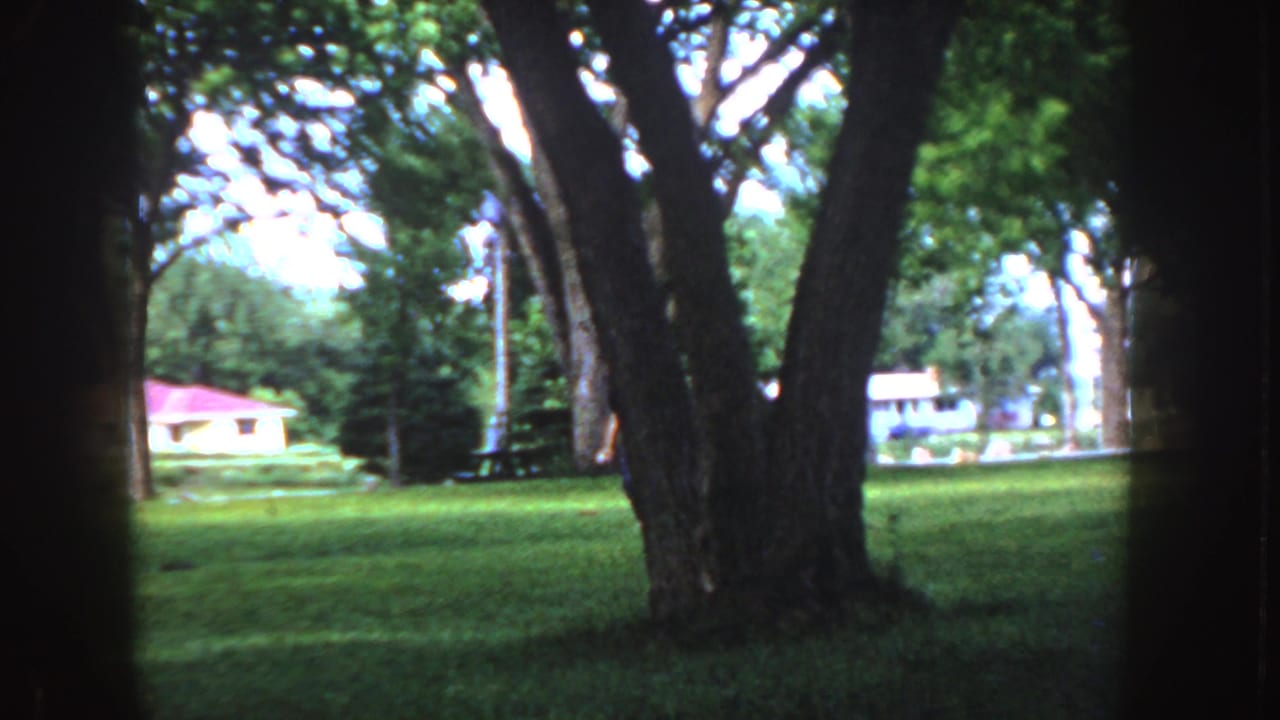 1955 Idaho 8mm frame showing a shaded suburban lawn framed by large trees, with low houses and red roofs beyond.