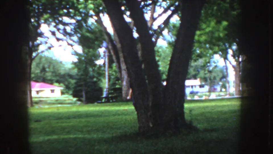 1955 Idaho 8mm frame showing a shaded suburban lawn framed by large trees, with low houses and red roofs beyond.