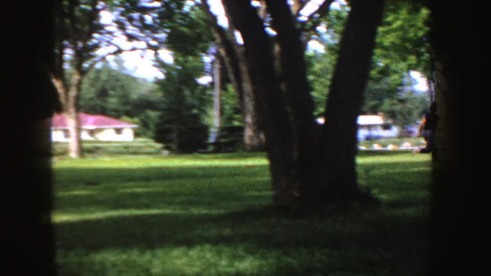 A distant person is partly obscured at the right edge of a 1955 Idaho yard scene framed by dark tree trunks and bright grass.