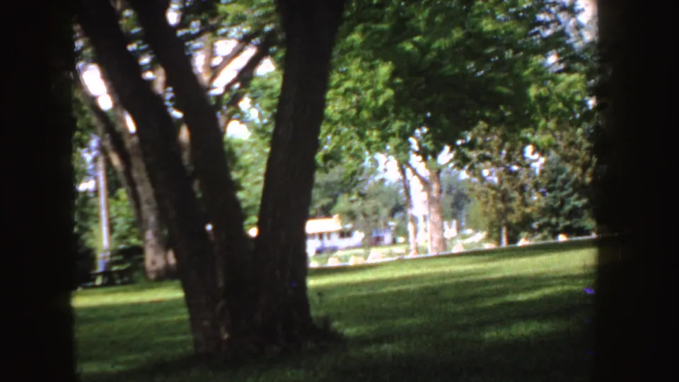1955 Idaho park view with large tree trunks, dappled grass, and distant small buildings beyond the lawn.