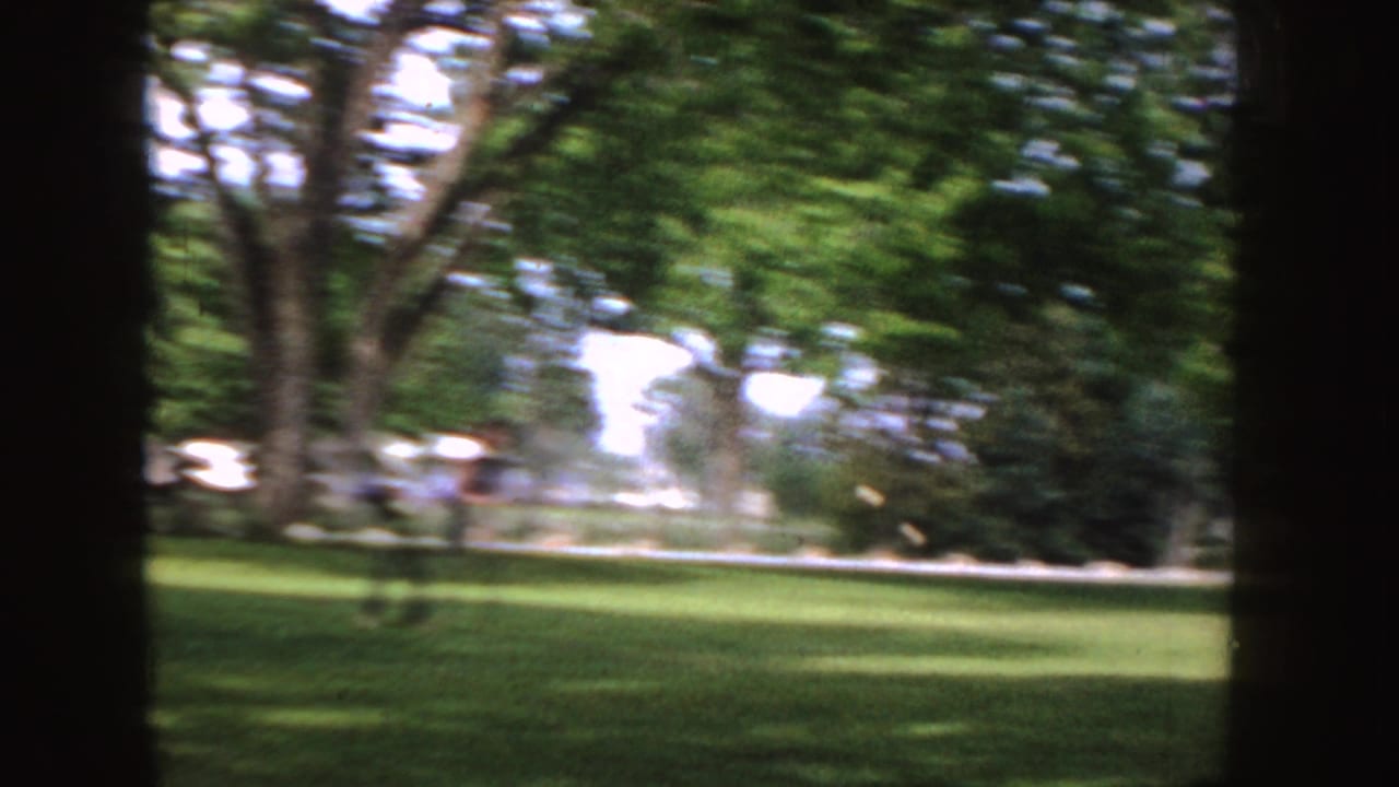 1955 Idaho 8mm frame looking across a sunlit lawn from deep shade, with tree trunks in the foreground and distant neighborhood details.