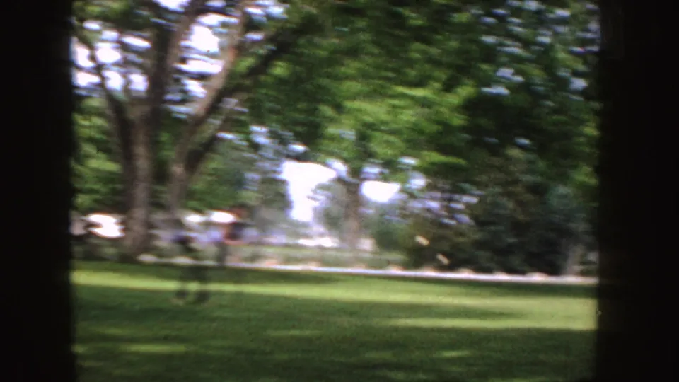 1955 Idaho 8mm frame looking across a sunlit lawn from deep shade, with tree trunks in the foreground and distant neighborhood details.