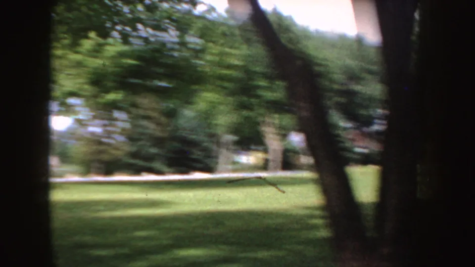 A soft 8mm view across an Idaho lawn, framed by dark tree trunks and leafy shade, with distant houses or parked cars barely visible.