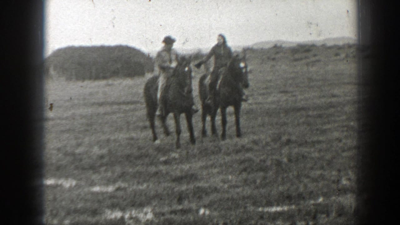 Two riders on horses face the camera in a grassy field.